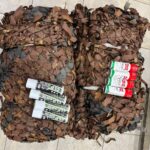 Photo 2024 04 08 09 26 26 (2)