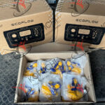 Photo 5229048204308374325 y