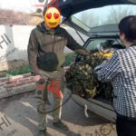 Photo 5229048204308374461 y