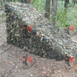 Photo 5429517379102170643 y