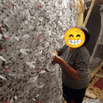 Photo 12 2025 08 25 20 42 27