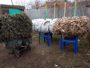 Photo 16 2025 08 27 16 28 00