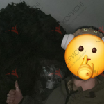 Photo 3 2025 08 28 23 11 34